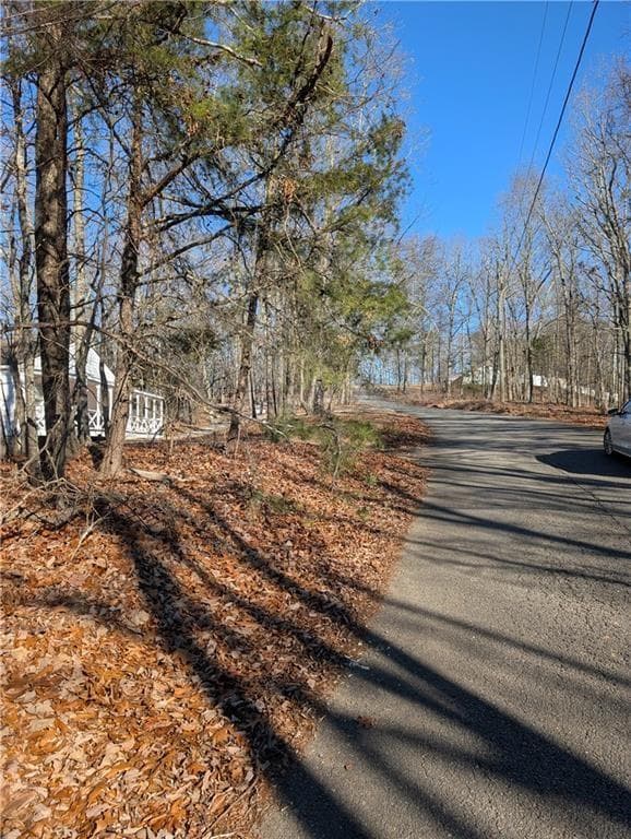 unimproved land for sale at 234 Stirratt Road, Ranger, GA 30734 — photo 9