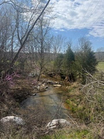unimproved land for sale at 0 Salacoa Road, Fairmount, GA 30139 — photo 2