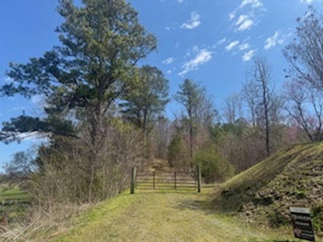 unimproved land for sale at 0 Salacoa Road, Fairmount, GA 30139 — photo 3