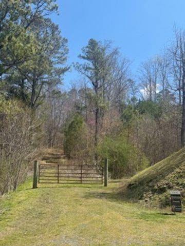 unimproved land for sale at 0 Salacoa Road, Fairmount, GA 30139 — photo 1 of 13