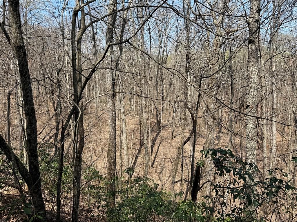 single family residence for sale at 28 Sharp Mountain Court, Jasper, GA 30143 — photo 7