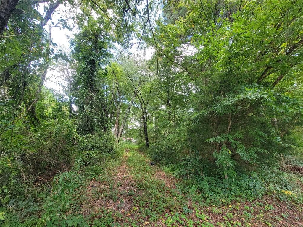 unimproved land for sale at 0 Calhoun Road, Rome, GA 30161 — photo 4