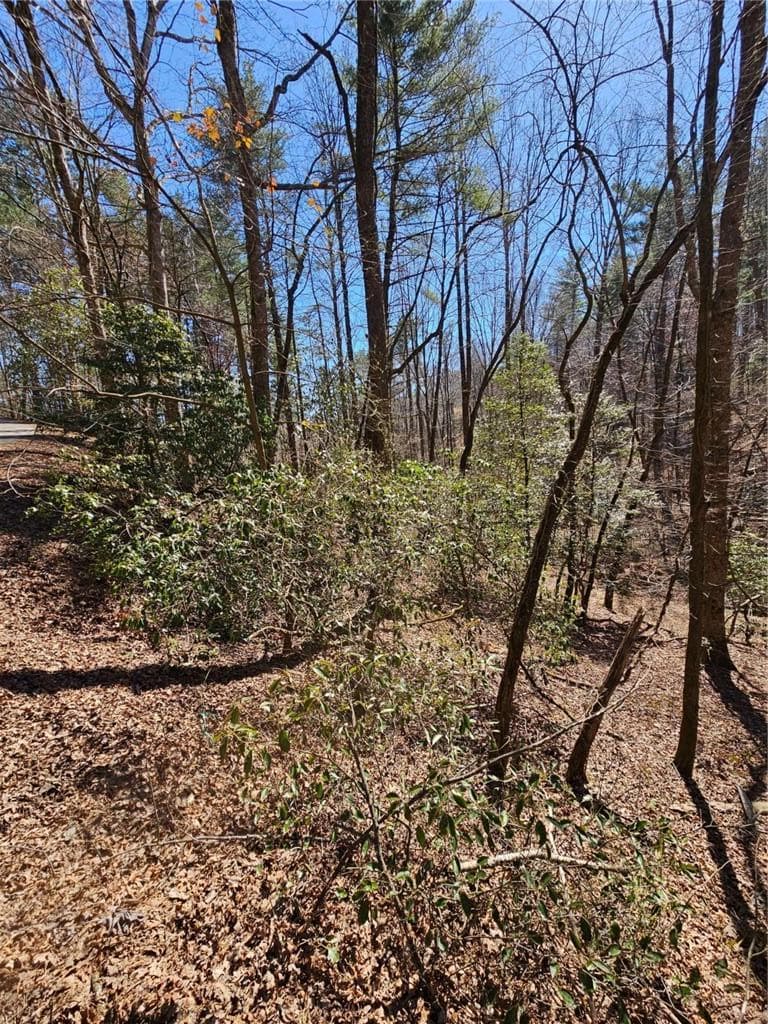 single family residence sold at 0 Etowah Drive, Ellijay, GA 30540