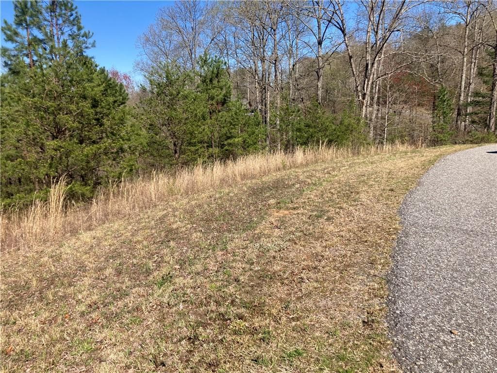 other sold at 0 Cora's Way, Blairsville, GA 30512