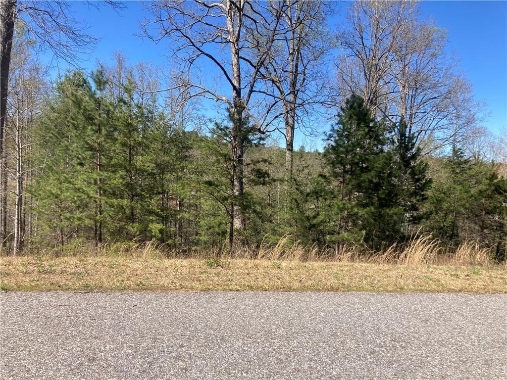 other sold at 0 Cora's Way, Blairsville, GA 30512