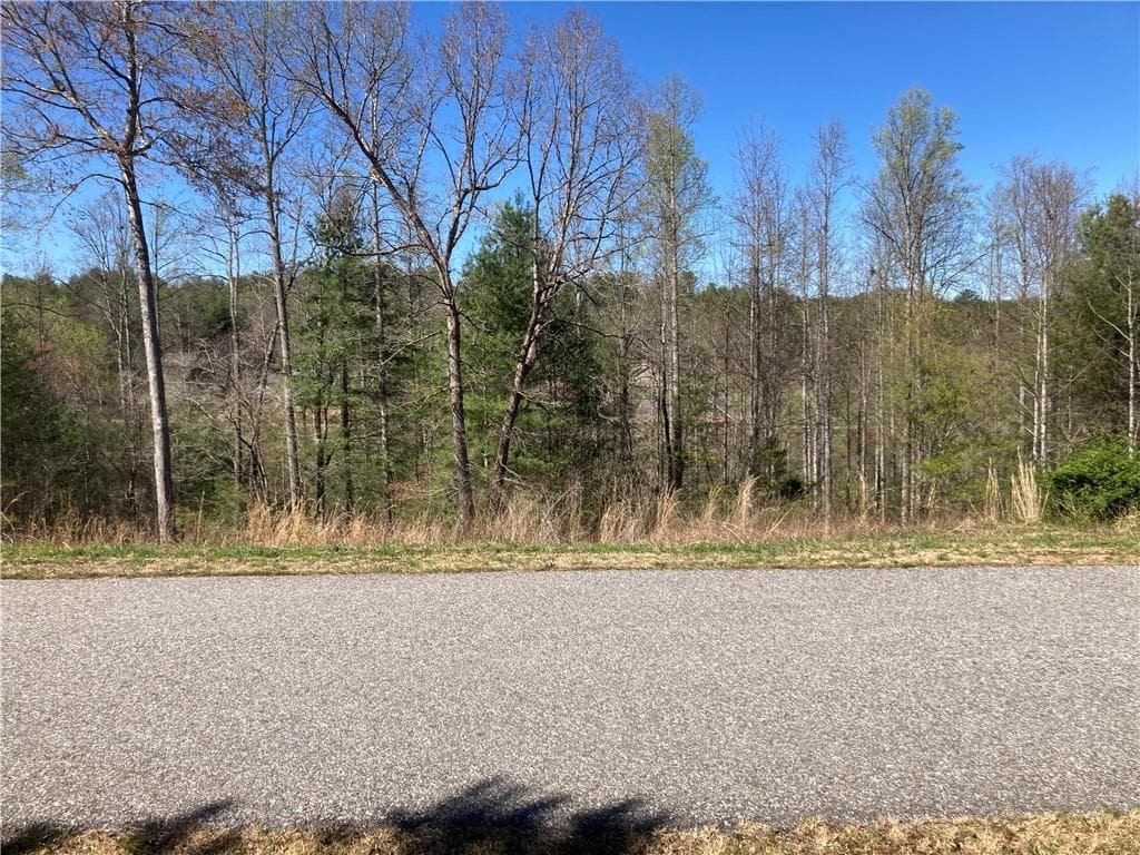 other sold at 0 Cora's Way, Blairsville, GA 30512