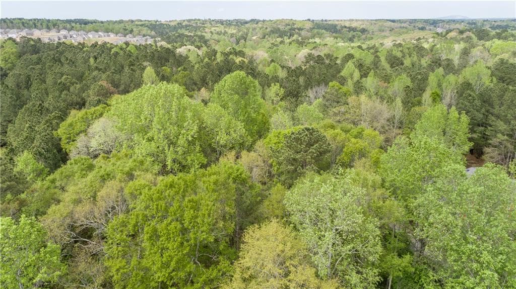 other for sale at 3607 Masters Road, Ellenwood, GA 30294 — photo 10