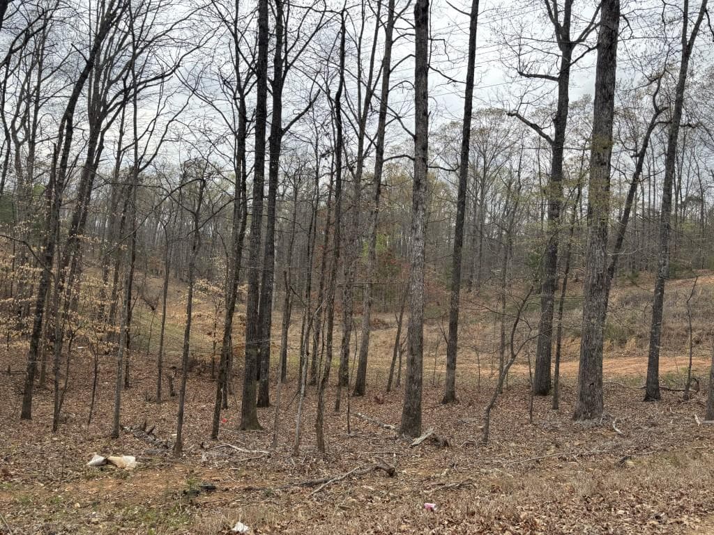 unimproved land for sale at 0 Summer Lake Road, Lithia Springs, GA 30122 — photo 1 of 2