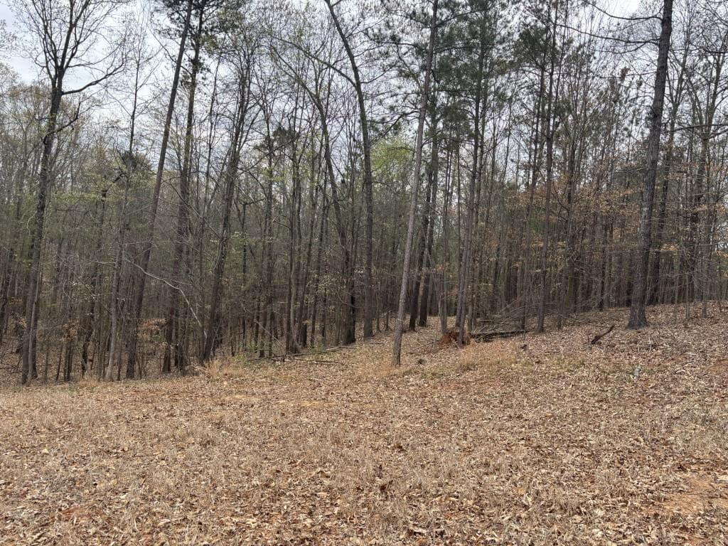 unimproved land for sale at 0 Summer Lake Road, Lithia Springs, GA 30122 — photo 2