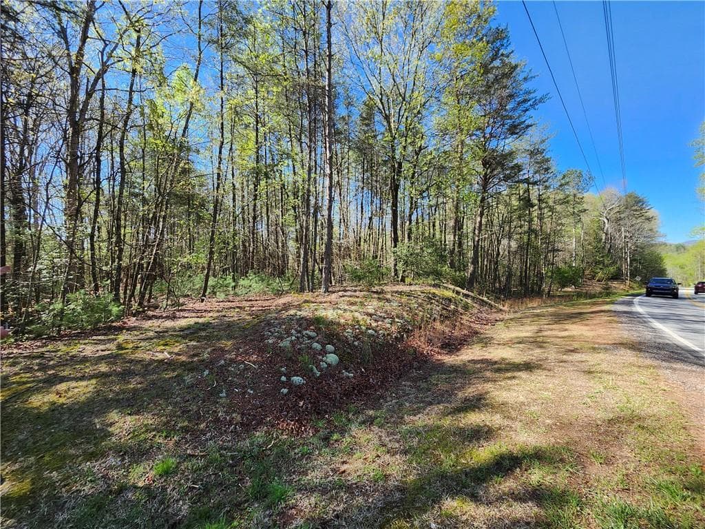 unimproved land for sale at 00 Afton Road, Dawsonville, GA 30148 — photo 1 of 28