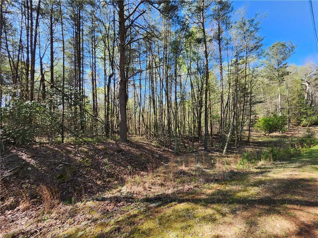 unimproved land for sale at 00 Afton Road, Dawsonville, GA 30148 — photo 2