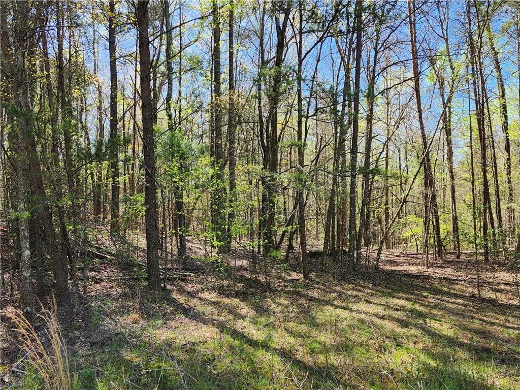 unimproved land for sale at 00 Afton Road, Dawsonville, GA 30148 — photo 3