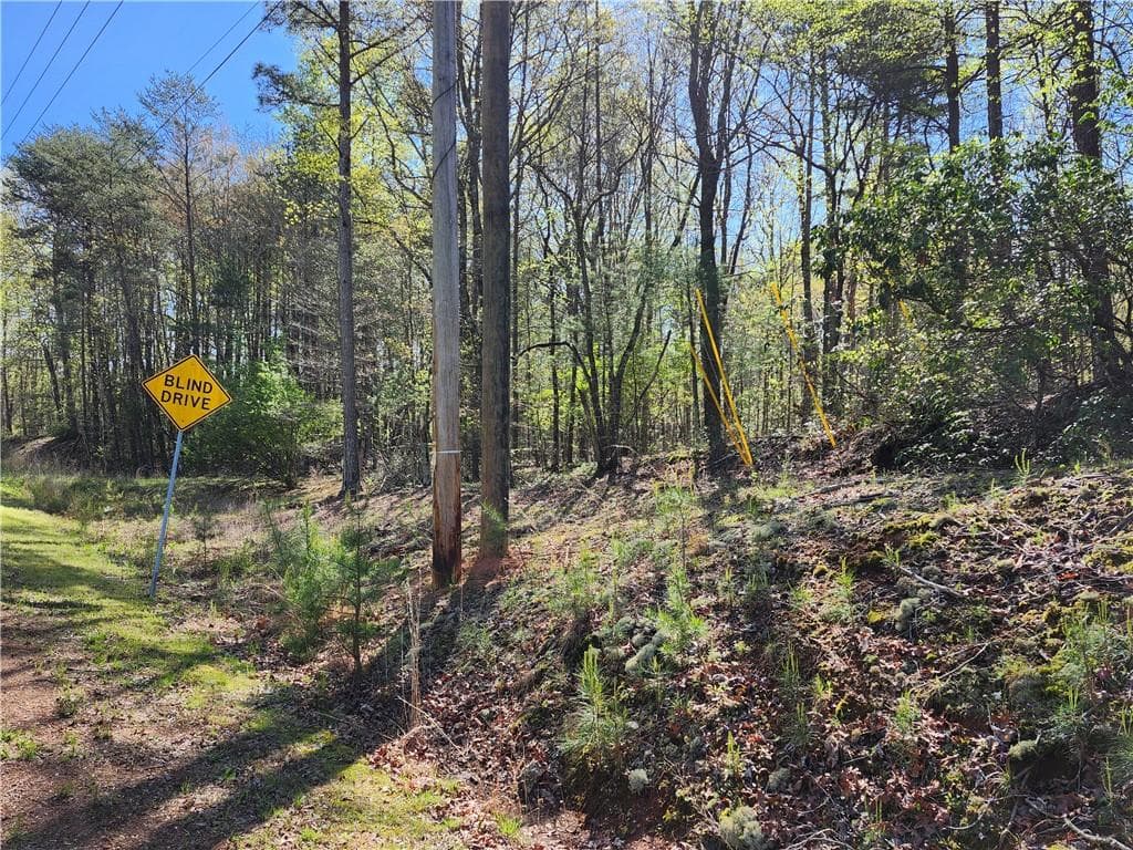 unimproved land for sale at 00 Afton Road, Dawsonville, GA 30148 — photo 7