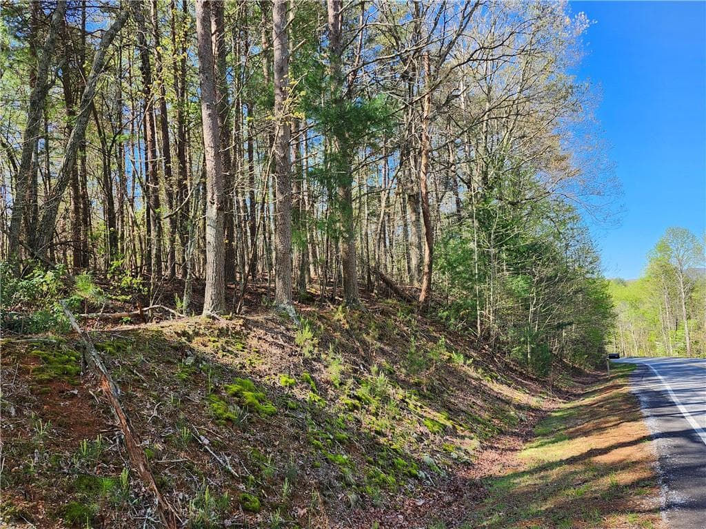 unimproved land for sale at 00 Afton Road, Dawsonville, GA 30148 — photo 8