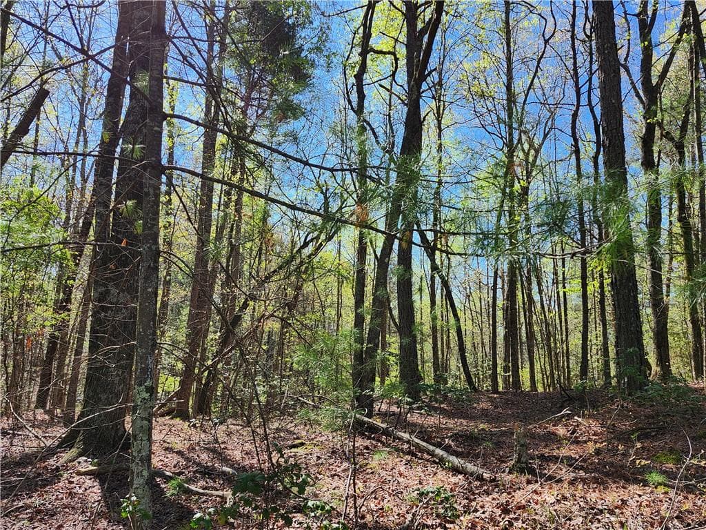 unimproved land for sale at 00 Afton Road, Dawsonville, GA 30148 — photo 9