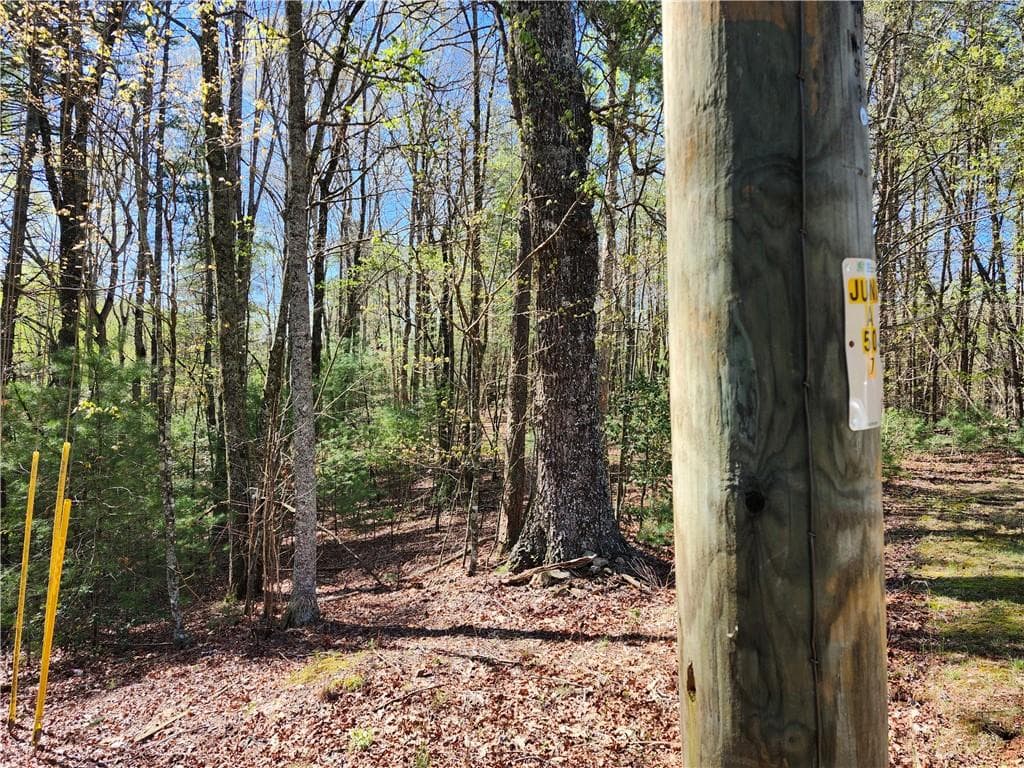 unimproved land for sale at 00 Afton Road, Dawsonville, GA 30148 — photo 10