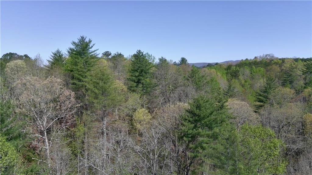 unimproved land for sale at 00 Afton Road, Dawsonville, GA 30148 — photo 5