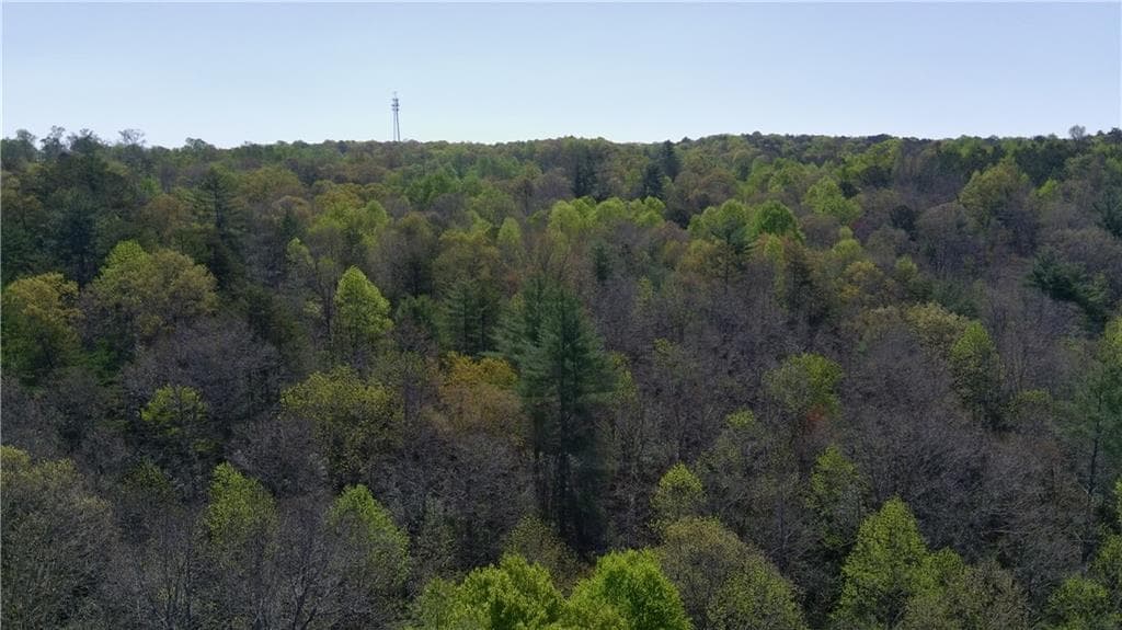 unimproved land for sale at 00 Afton Road, Dawsonville, GA 30148 — photo 6
