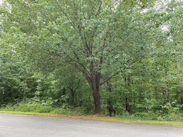single family residence for sale at 22 Allatoona Estates Drive, Acworth, GA 30102 — photo 2