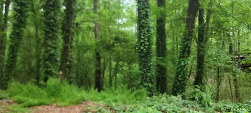 unimproved land for sale at 0 Shadowbrook Drive, Marietta, GA 30062 — photo 1 of 2