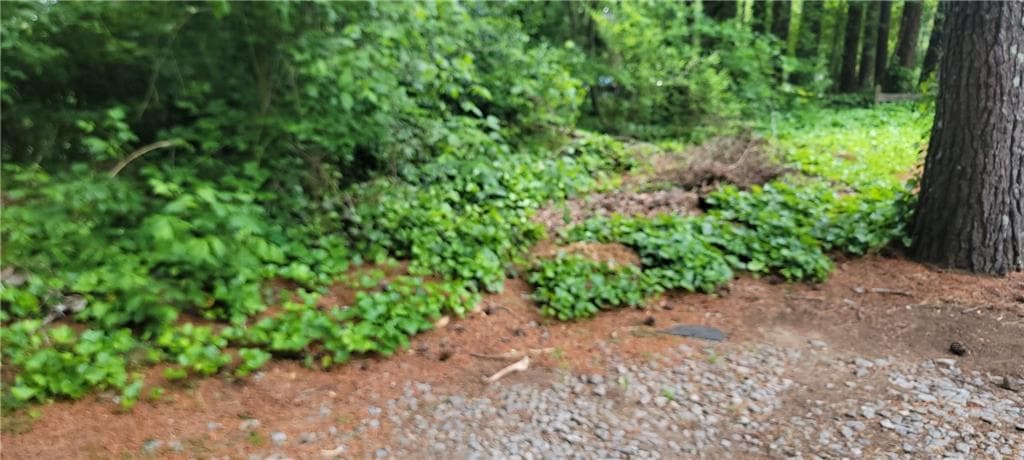 unimproved land for sale at 0 Shadowbrook Drive, Marietta, GA 30062 — photo 2