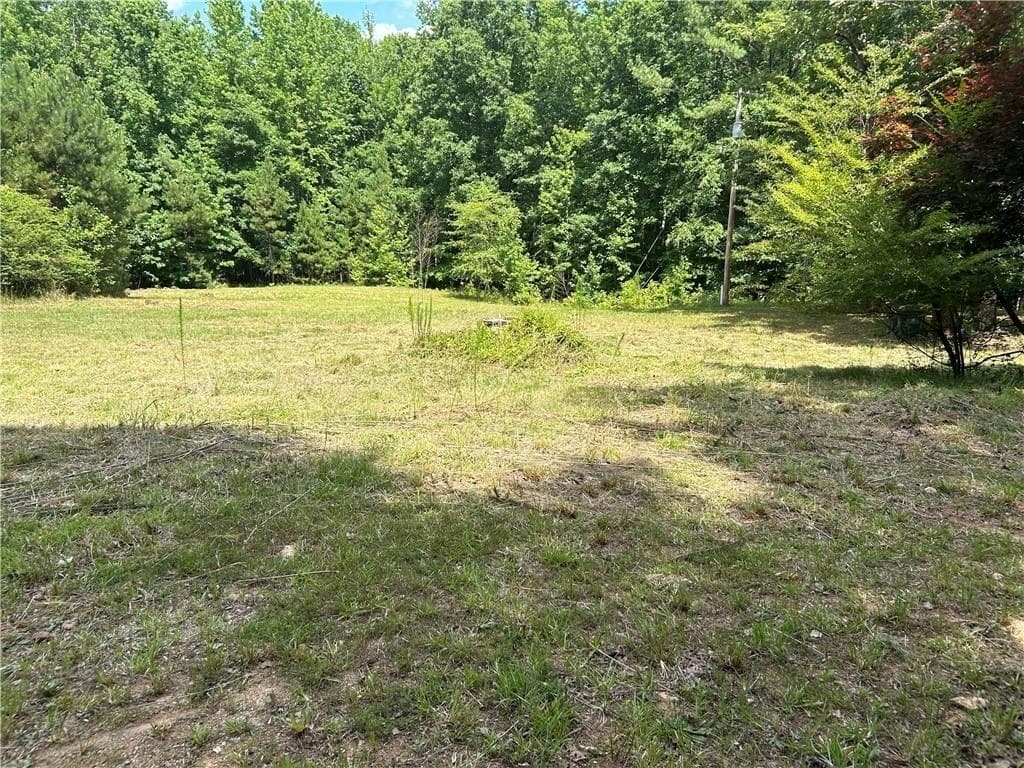 other sold at 289 Brandy, Newnan, GA 30263