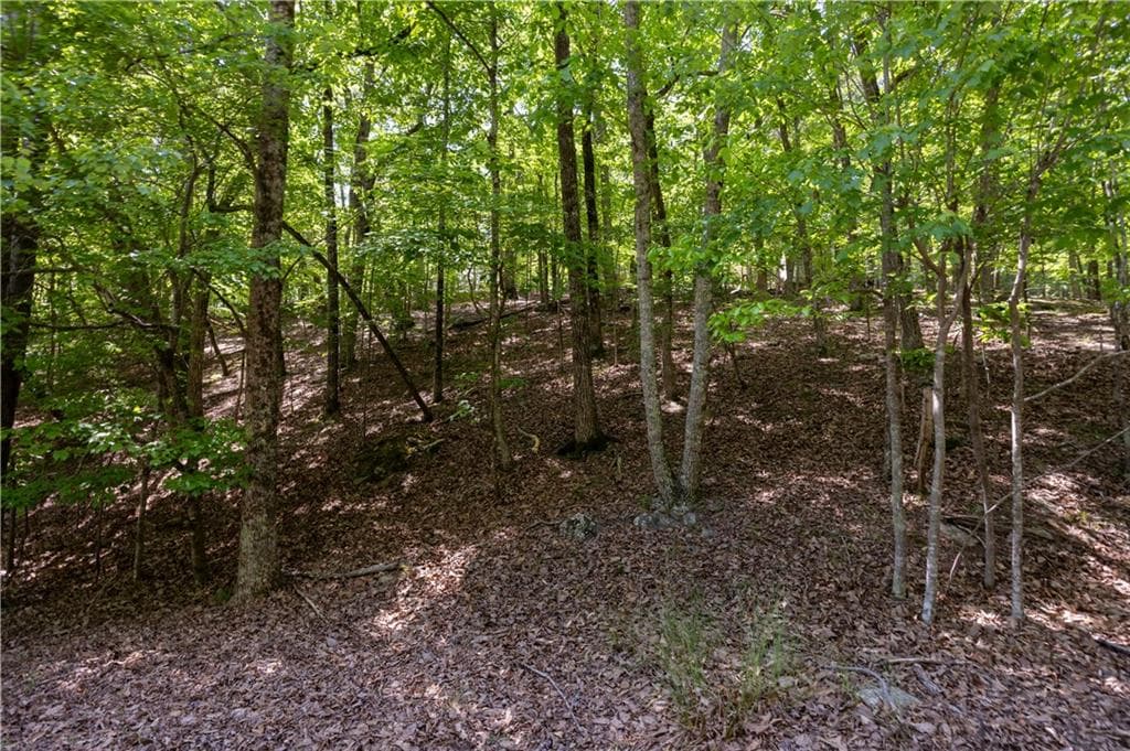 single family residence under contract at 110 Morning Walk Drive, Waleska, GA 30183 — photo 3