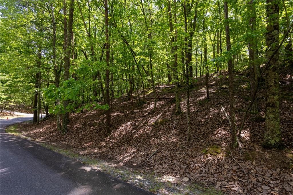 single family residence under contract at 110 Morning Walk Drive, Waleska, GA 30183 — photo 4