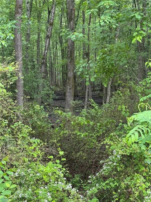 unimproved land for sale at 0 Friendship Church Road, Powder Springs, GA 30127 — photo 5