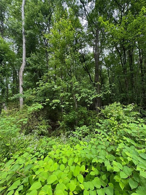 unimproved land for sale at 0 Friendship Church Road, Powder Springs, GA 30127 — photo 6