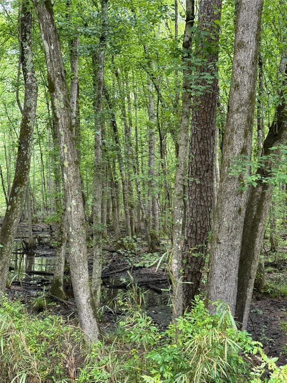 unimproved land for sale at 0 Friendship Church Road, Marietta, GA 30064 — photo 3