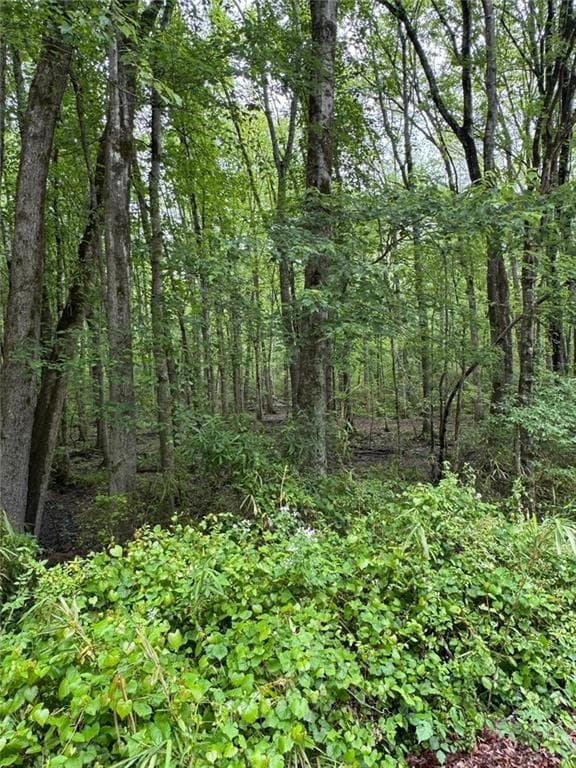 unimproved land for sale at 0 Friendship Church Road, Marietta, GA 30064 — photo 4