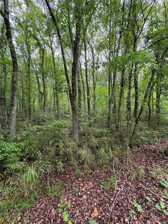 unimproved land for sale at 0 Friendship Church Road, Marietta, GA 30064 — photo 6