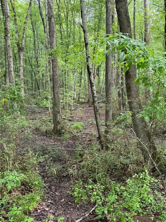 unimproved land for sale at 0 Friendship Church Road, Marietta, GA 30064 — photo 7