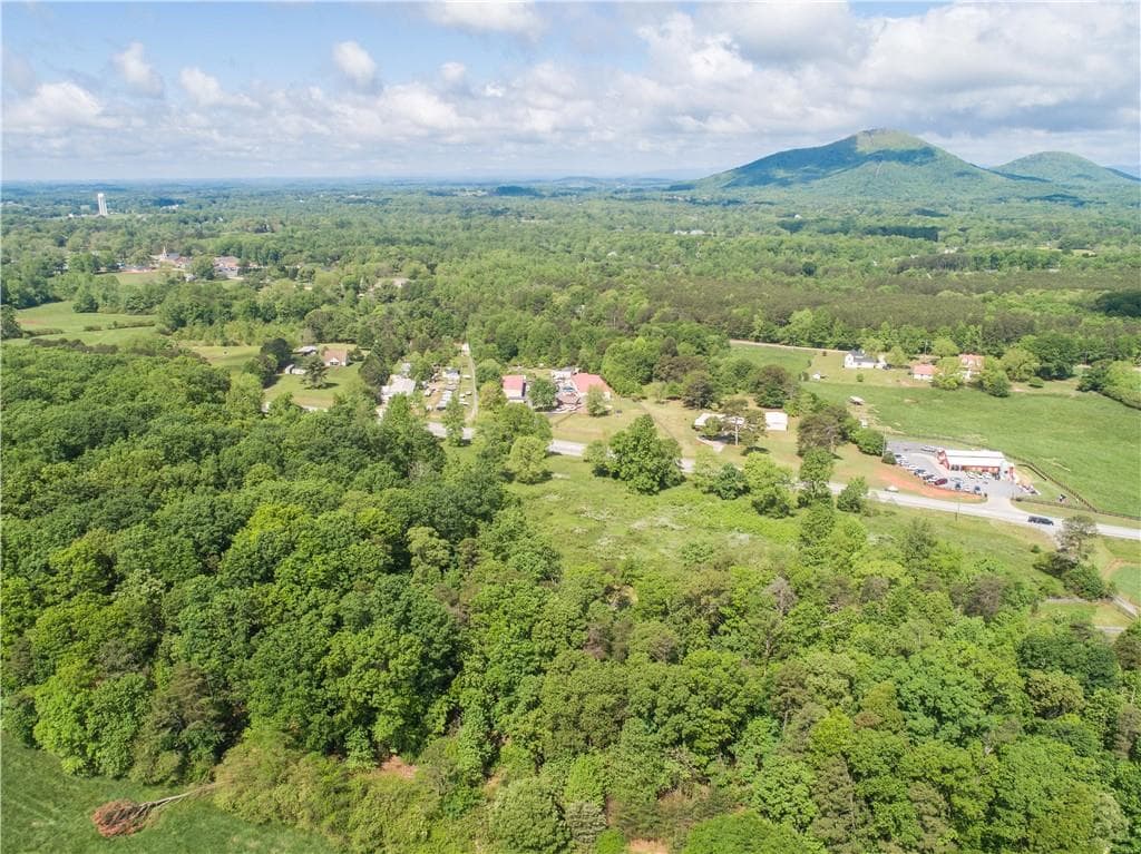 unimproved land for sale at 6580 Cleveland Highway, Clermont, GA 30527 — photo 4