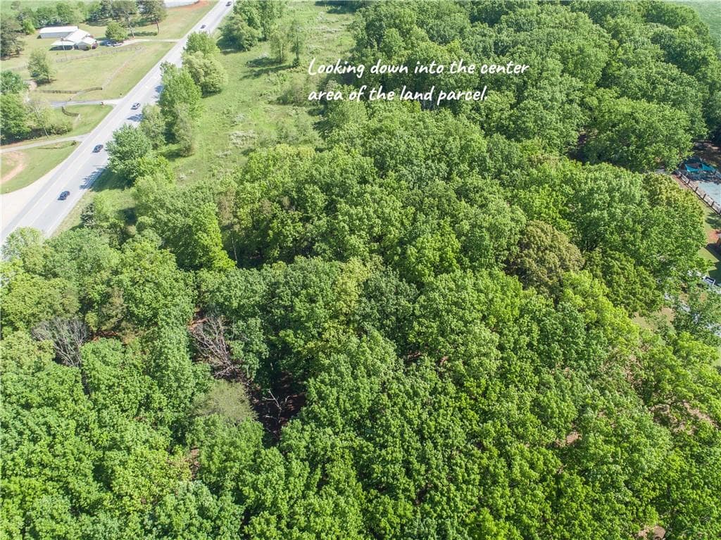 unimproved land for sale at 6580 Cleveland Highway, Clermont, GA 30527 — photo 6