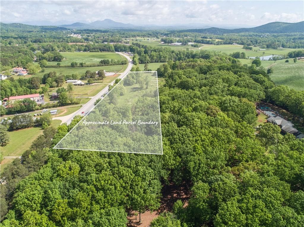 unimproved land for sale at 6580 Cleveland Highway, Clermont, GA 30527 — photo 7