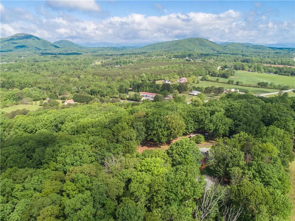 unimproved land for sale at 6580 Cleveland Highway, Clermont, GA 30527 — photo 10