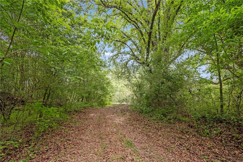 unimproved land for sale at 0 Mountain Road, Alpharetta, GA 30004 — photo 5