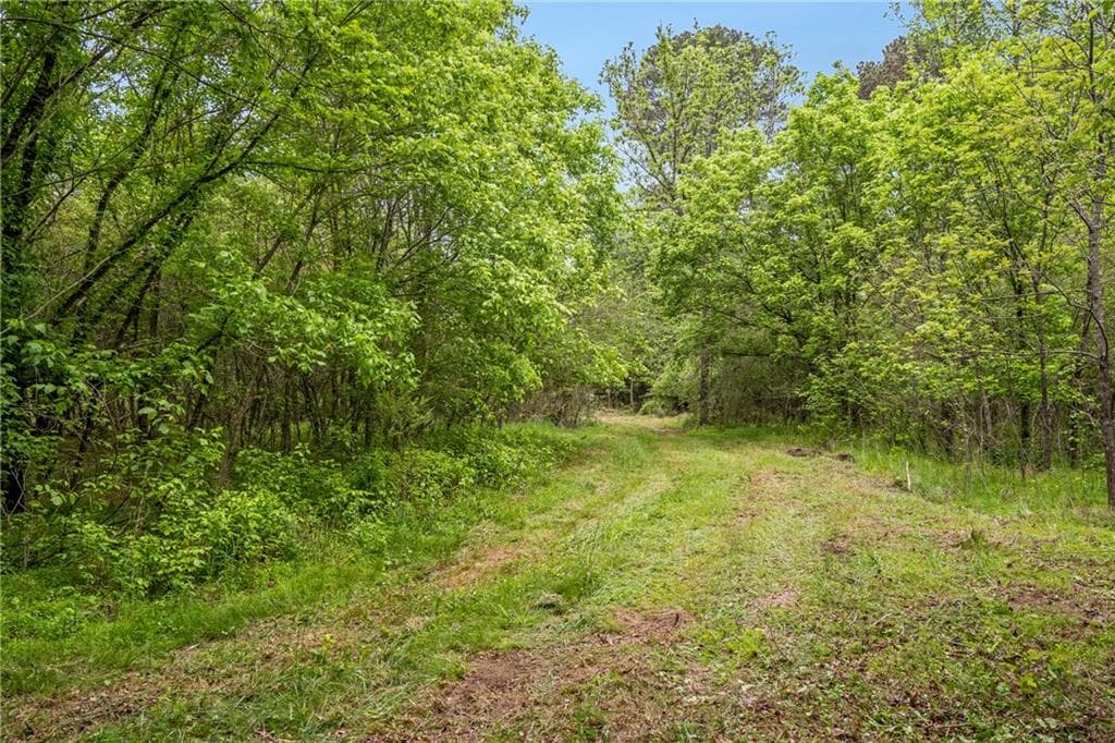 unimproved land for sale at 0 Mountain Road, Alpharetta, GA 30004 — photo 6