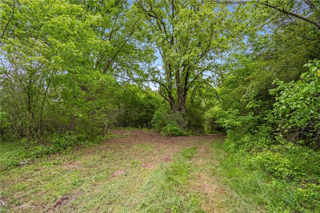 unimproved land for sale at 0 Mountain Road, Alpharetta, GA 30004 — photo 7
