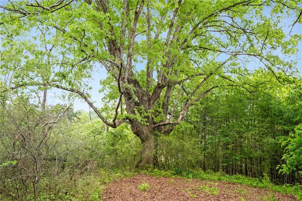 unimproved land for sale at 0 Mountain Road, Alpharetta, GA 30004 — photo 8