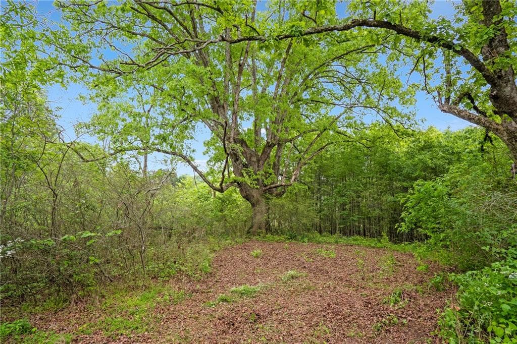 unimproved land for sale at 0 Mountain Road, Alpharetta, GA 30004 — photo 9