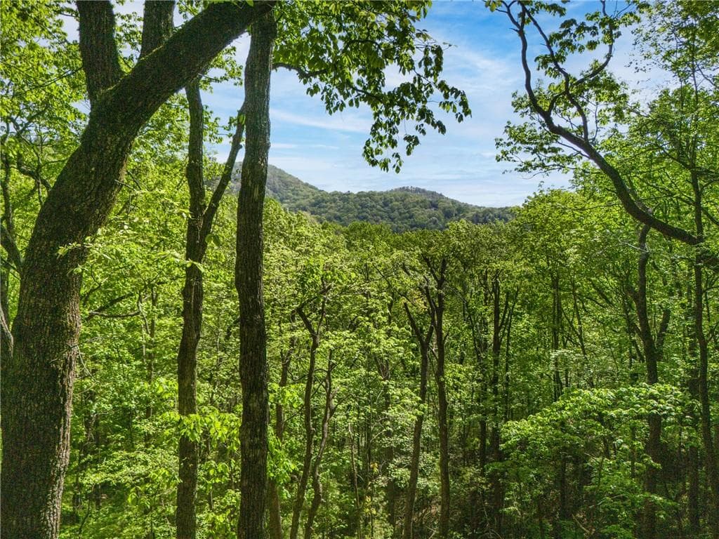 single family residence sold at 45 Amy Creek Drive, Ellijay, GA 30540