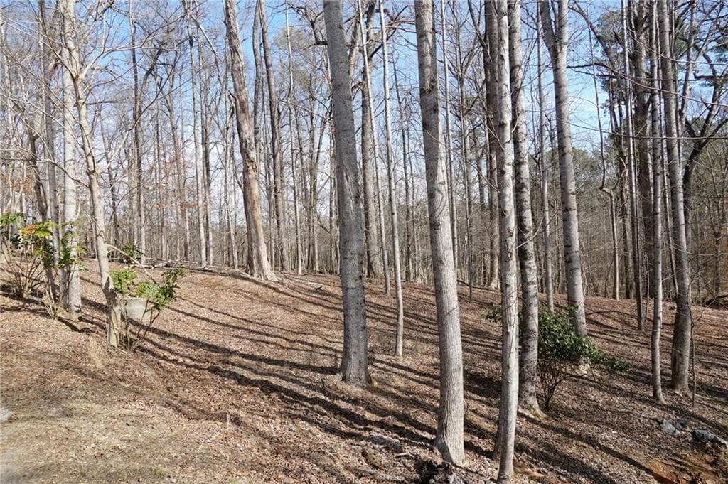 single family residence under contract at 0 Hawk Run, Peachtree Corners, GA 30092 — photo 6
