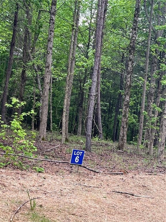 other under contract at 6 Crawford Place, Dawsonville, GA 30534 — photo 4