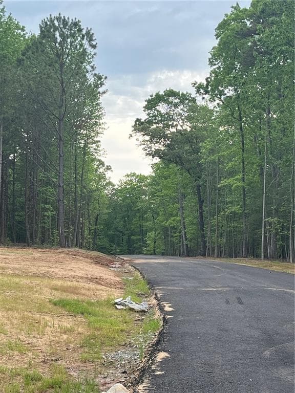 other under contract at 7 Crawford Crest, Dawsonville, GA 30534 — photo 7
