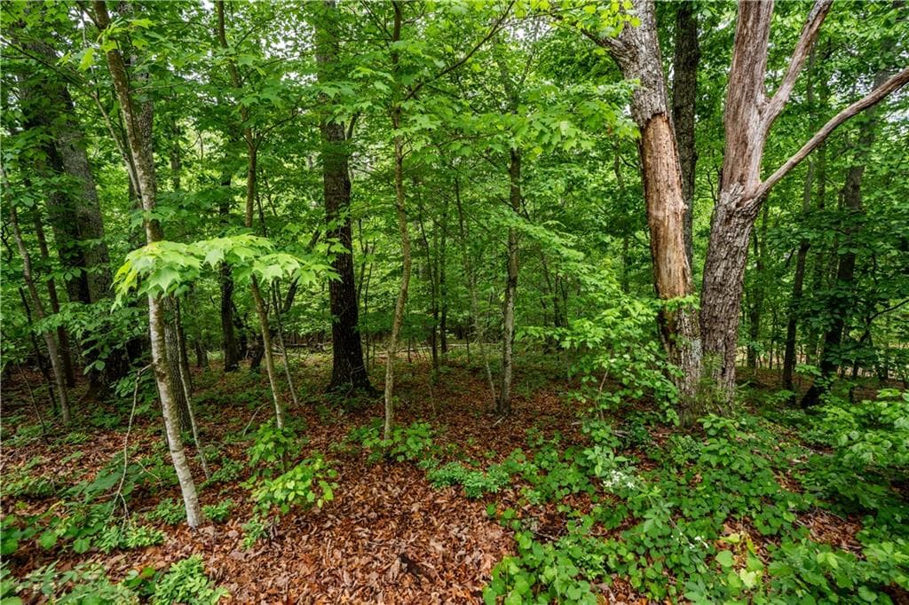 single family residence sold at 3843 Skyline Drive, Gainesville, GA 30501