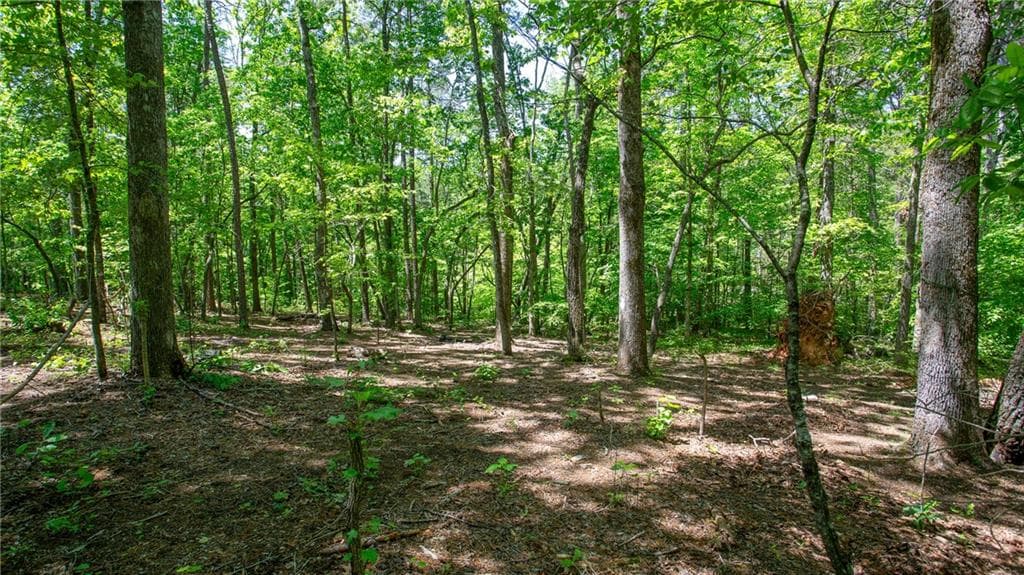 other sold at 7245 Mount Tabor Road, Cumming, GA 30028