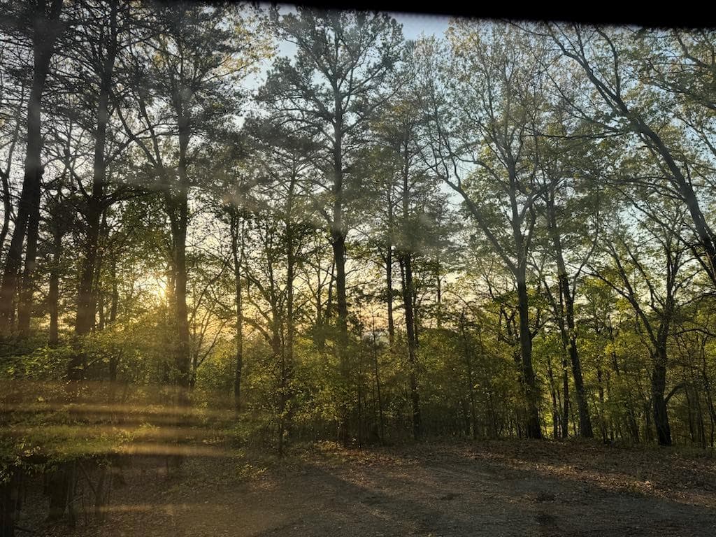 other sold at 710 Railey Ridge, Ranger, GA 30734